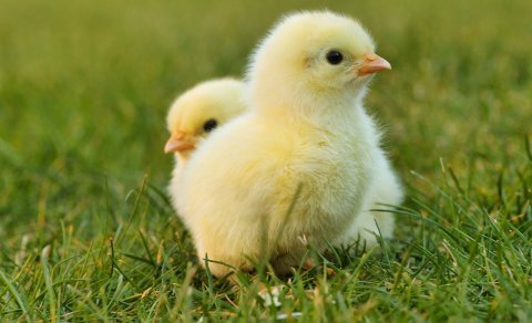 Opening hours during Easter