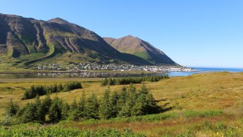 Private Troll Peninsula East, Four - Tunnel Tour